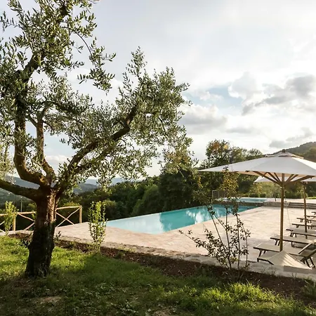 Holiday home With Panoramic Pool Amongst Olive Groves *